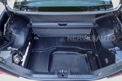 Mercedes-Benz SLK 200 cat (18)