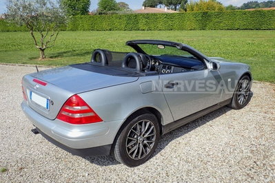 Mercedes-Benz SLK 200 cat (3)