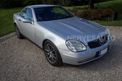 Mercedes-Benz SLK 200 cat (6)
