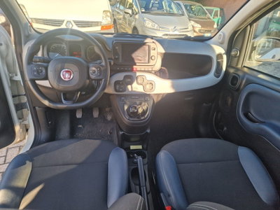 Fiat Panda Cross Cross 1.0 FireFly S&S Hybrid (6)