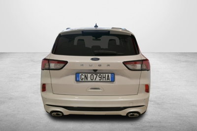Ford Kuga 1.5 EcoBlue 120 CV 2WD ST-Line (11)