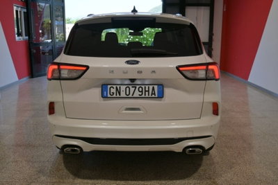 Ford Kuga 1.5 EcoBlue 120 CV 2WD ST-Line (4)