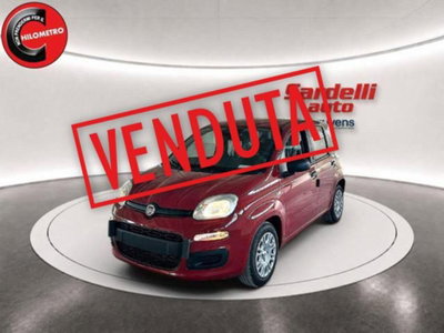 Fiat Pandina 1.0 firefly hybrid Icon s&s 65cv nuova