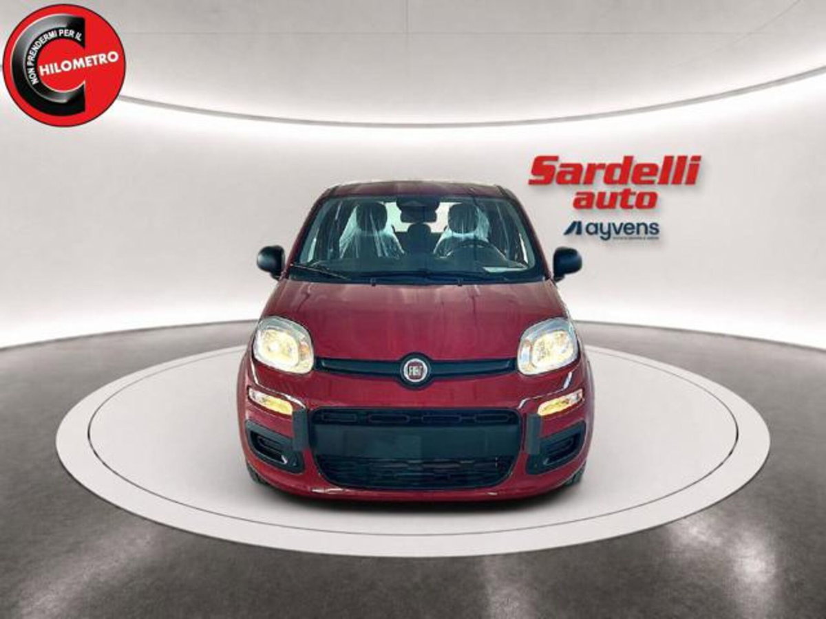 Fiat Pandina 1.0 firefly hybrid Icon s&s 65cv (4)