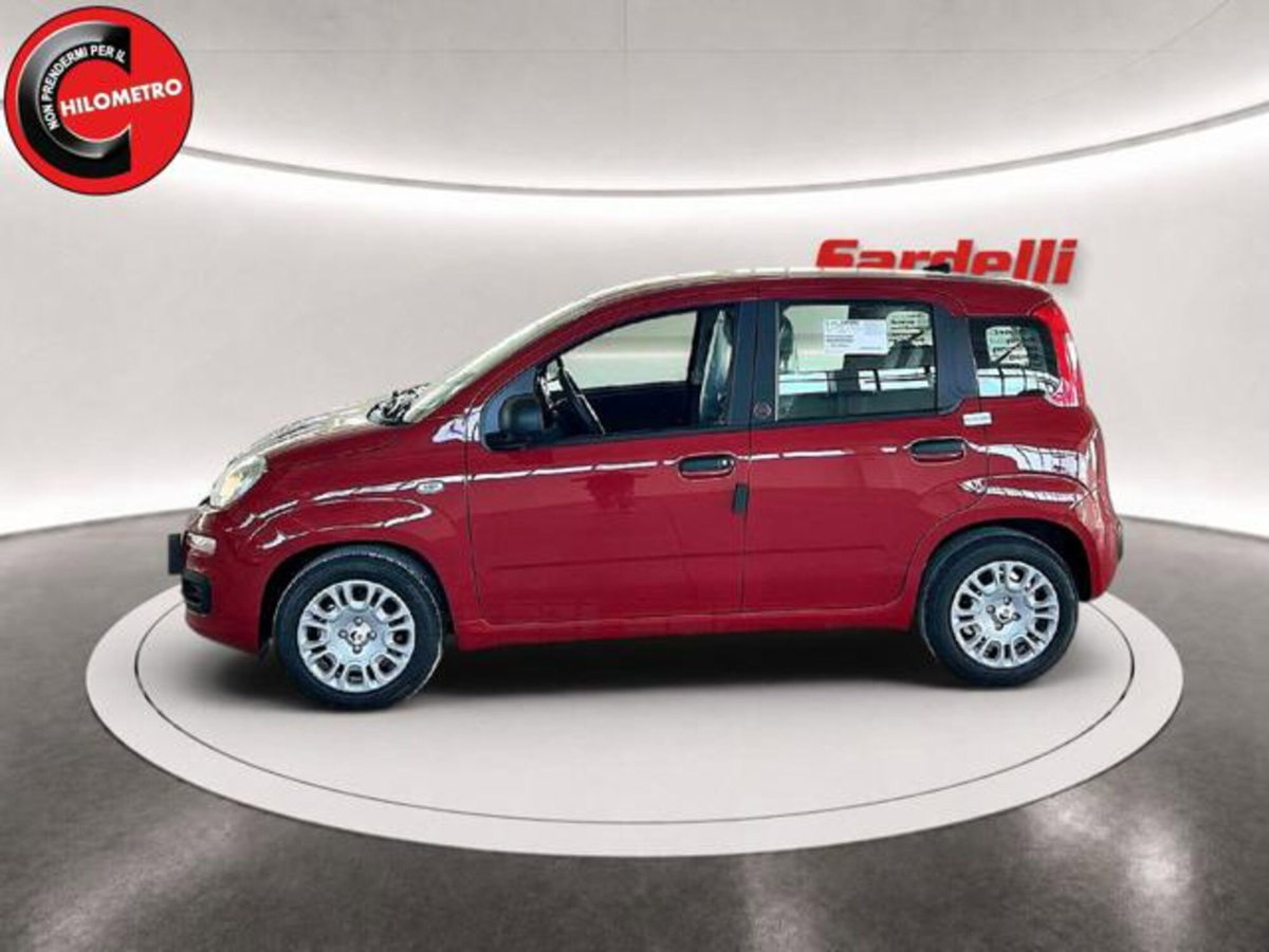 Fiat Pandina 1.0 firefly hybrid Icon s&s 65cv (5)