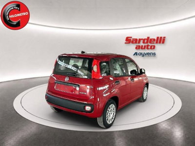 Fiat Pandina 1.0 firefly hybrid Icon s&s 65cv (7)