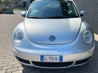 Volkswagen New Beetle Cabrio 16V (20)