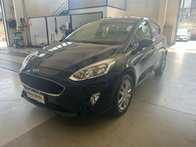 Ford Fiesta 1.1 5 porte Plus usata