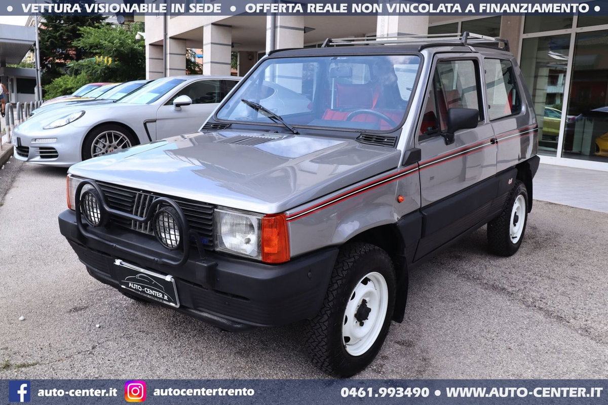 Fiat Panda 4x4 (19)