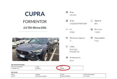 Cupra Formentor Formentor 2.0 tdi 4drive 150cv dsg (13)