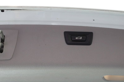 BMW Serie 3 318d Luxury (11)