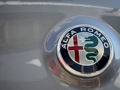 Alfa Romeo Stelvio Stelvio 2.2 Turbodiesel 190 CV AT8 Q4 Super Business (14)