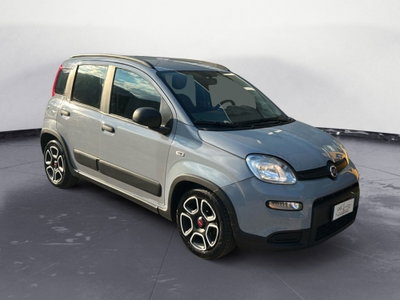 Fiat Panda 1.0 FireFly S&S Hybrid City Cross usata