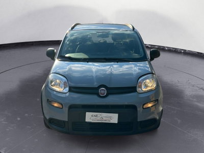 Fiat Panda 1.0 FireFly S&S Hybrid City Cross (3)