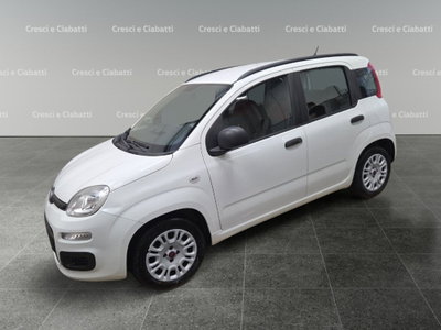 Fiat Panda 1.2 Easy usata
