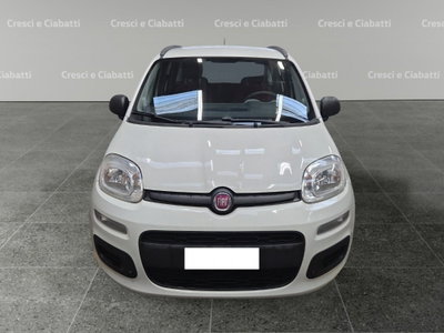 Fiat Panda 1.2 Easy (2)