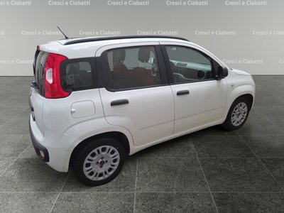 Fiat Panda 1.2 Easy (3)
