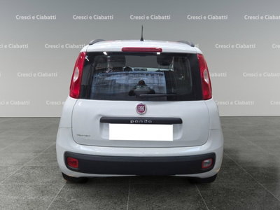 Fiat Panda 1.2 Easy (4)