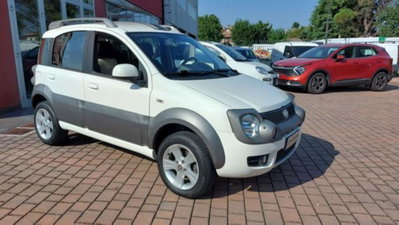 Fiat Panda 1.3 MJT 16V DPF 4x4 Cross usata