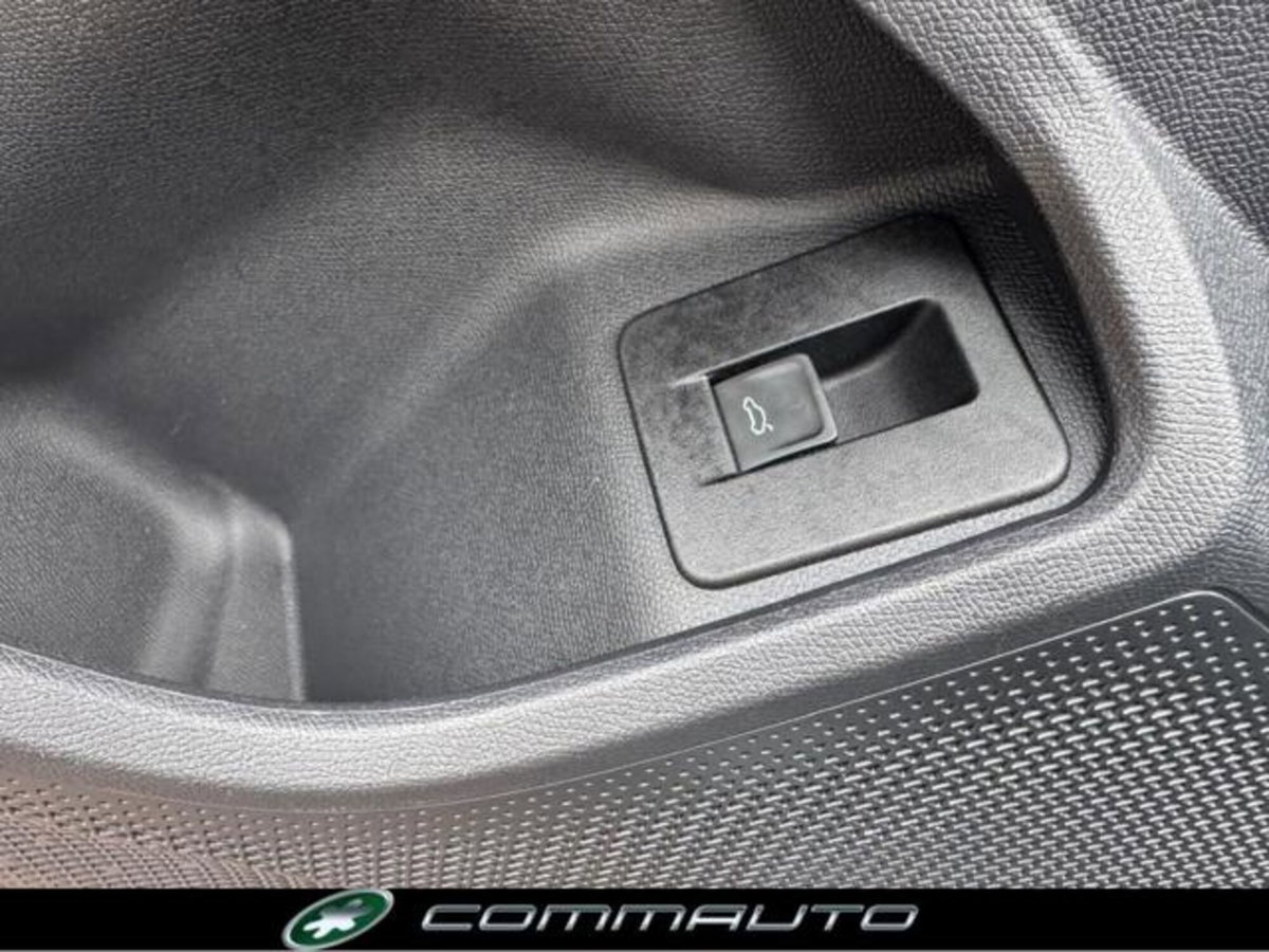 Cupra Formentor Formentor 2.0 TDI (10)