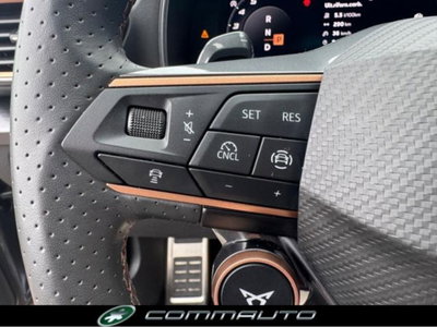 Cupra Formentor Formentor 2.0 TDI (18)