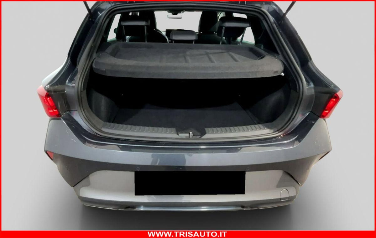 Cupra Leon Leon 2.0 tdi 150cv dsg (12)