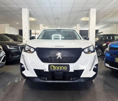 Peugeot 2008 BlueHDi 110 S&S Active Pack (2)