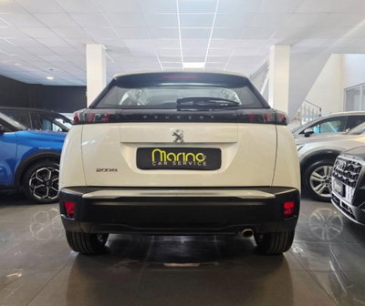 Peugeot 2008 BlueHDi 110 S&S Active Pack (8)