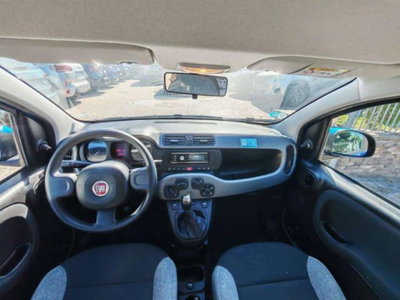 Fiat Panda Cross 1.0 firefly hybrid Cross s&s 70cv 5p.ti (12)