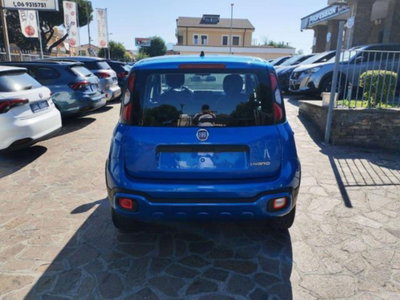 Fiat Panda Cross 1.0 firefly hybrid Cross s&s 70cv 5p.ti (5)