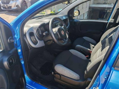Fiat Panda Cross 1.0 firefly hybrid Cross s&s 70cv 5p.ti (8)