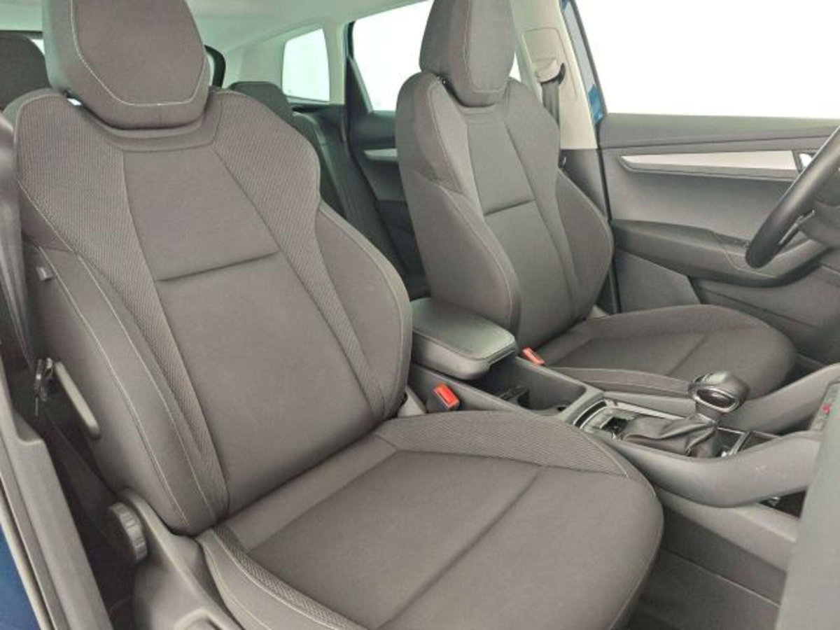 Skoda Karoq 2.0 TDI EVO SCR 115 CV DSG Executive (10)