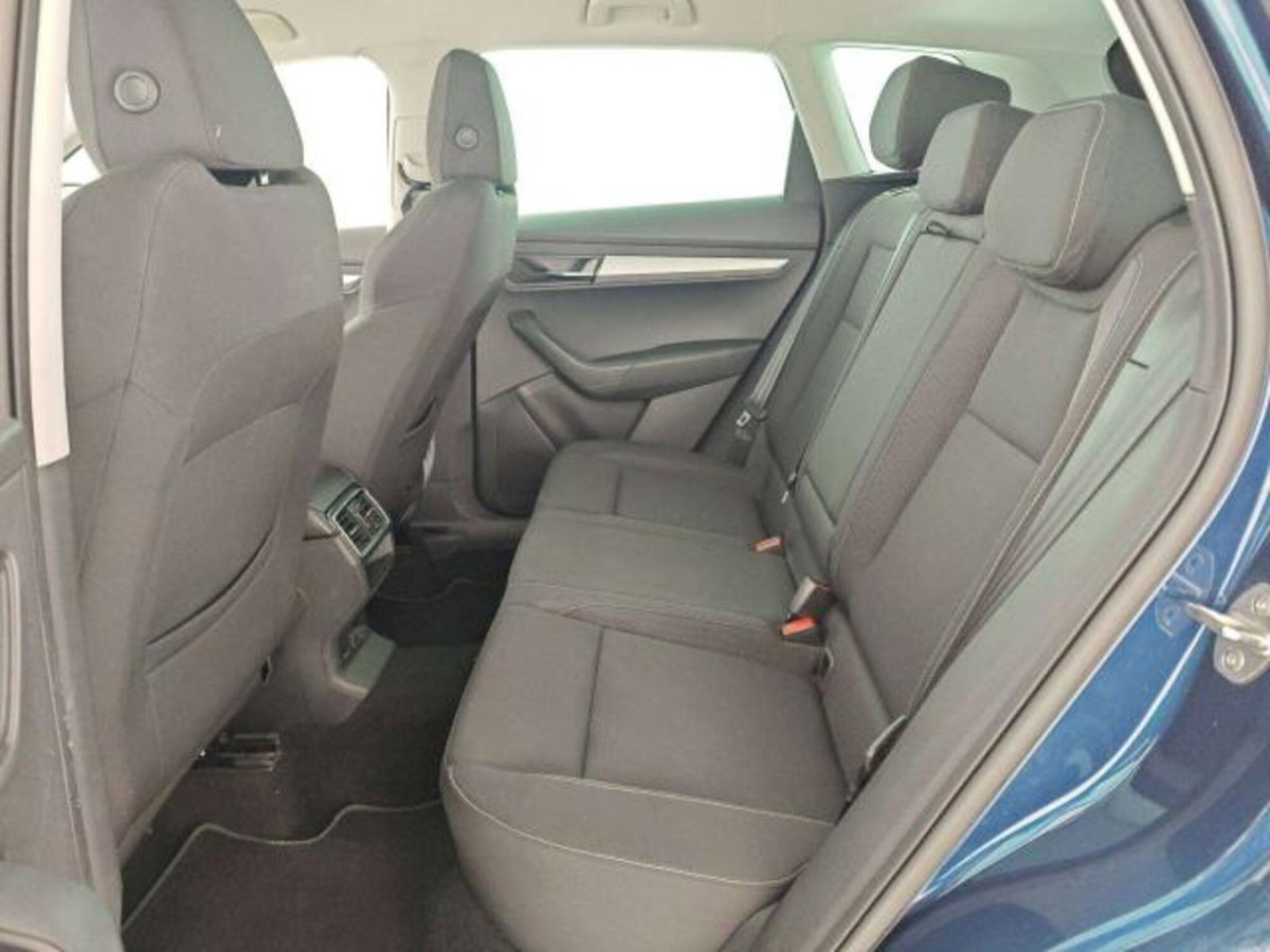 Skoda Karoq 2.0 TDI EVO SCR 115 CV DSG Executive (11)