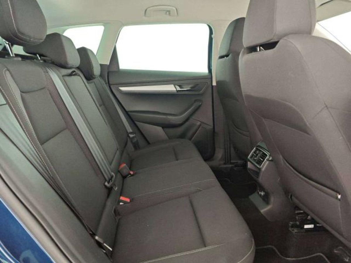 Skoda Karoq 2.0 TDI EVO SCR 115 CV DSG Executive (12)