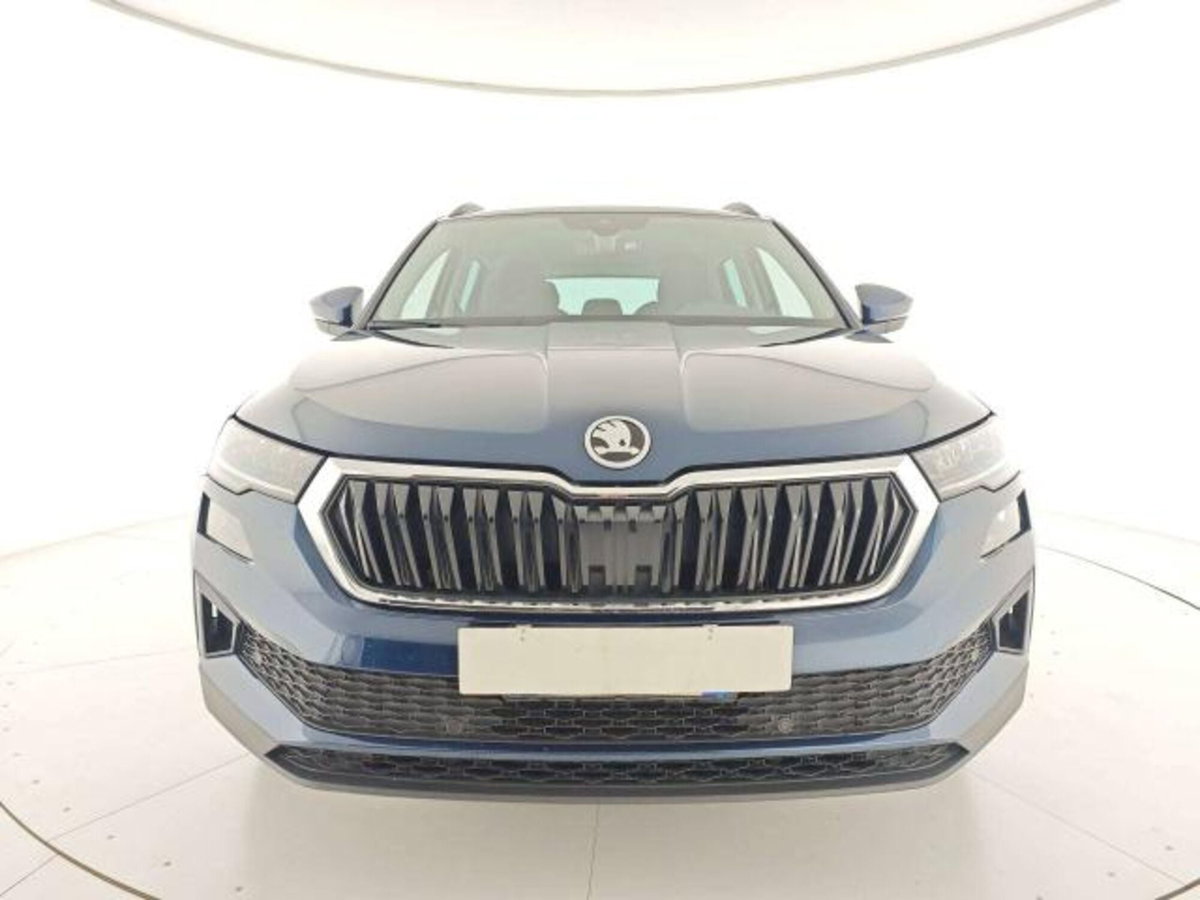 Skoda Karoq 2.0 TDI EVO SCR 115 CV DSG Executive (5)