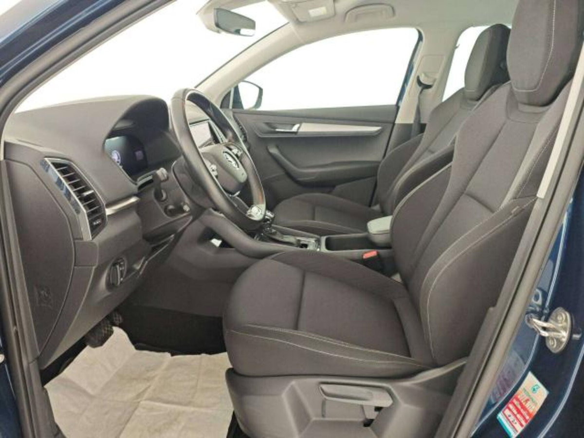 Skoda Karoq 2.0 TDI EVO SCR 115 CV DSG Executive (8)