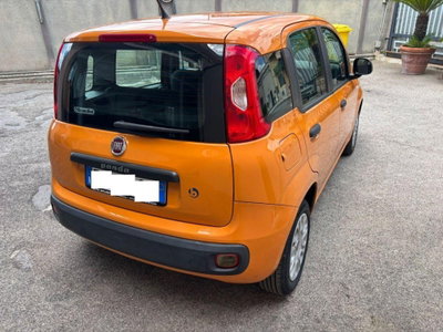 Fiat Panda 1.2 Easy (6)