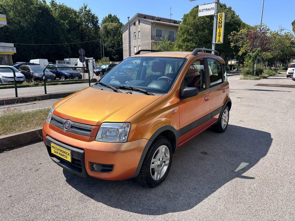 Fiat Panda 1.2 Climbing Natural Power (3)