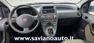Fiat Panda 1.2 Dynamic (7)