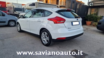 Ford Focus 1.5 TDCi 95 CV Start&Stop Plus (3)