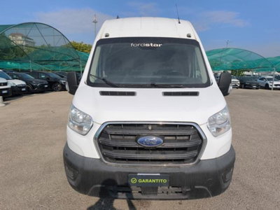 Ford Transit Furgone transit 350 tr.post. 2.0 tdci MHEV 170cv jumbo d.cab. trend L4H3 E6.2 (8)