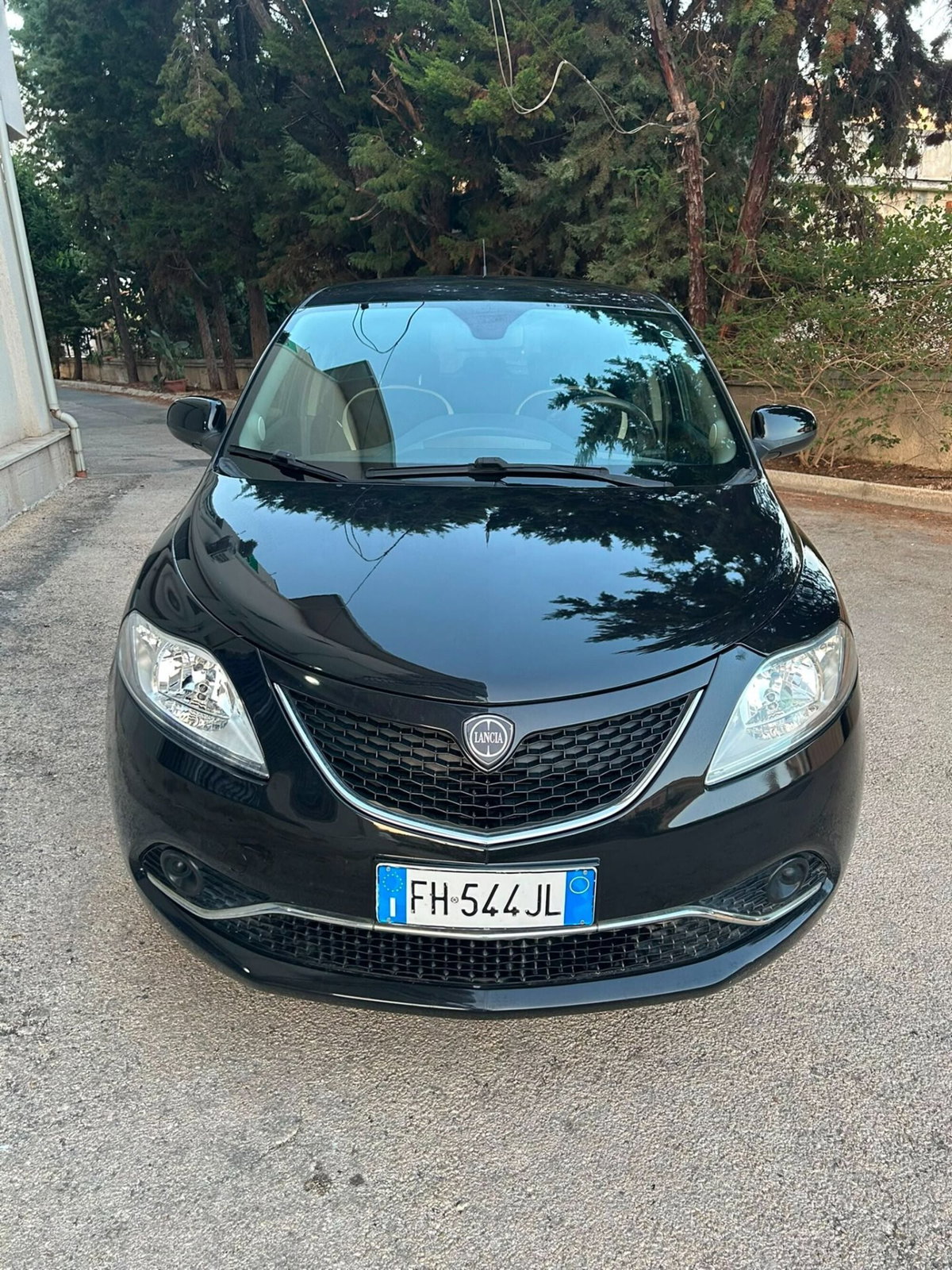 Lancia Ypsilon 1.2 69 CV 5 porte Gold (3)