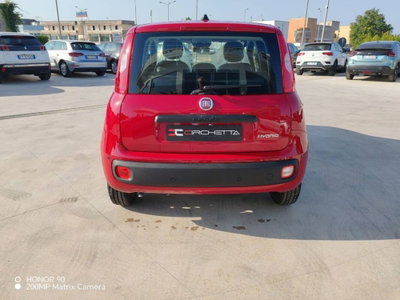 Fiat Panda 30 (10)