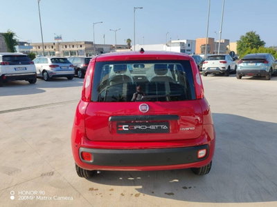 Fiat Panda 30 (12)