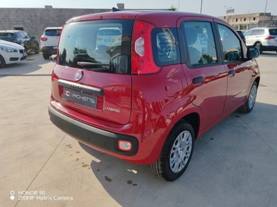 Fiat Panda 30 (9)