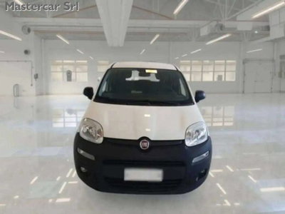 Fiat Panda 1.2 Pop Van 2 posti (2)