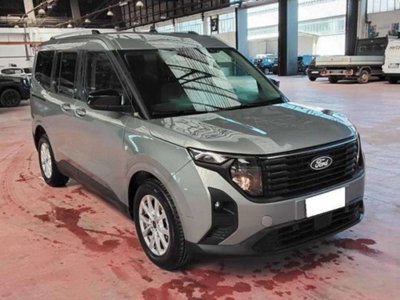 Ford Tourneo Courier 1.0 EcoBoost 100 CV Titanium (4)