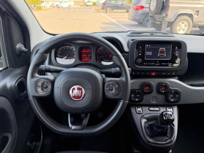 Fiat Panda 1.0 firefly hybrid s&s 70cv 5p.ti (13)