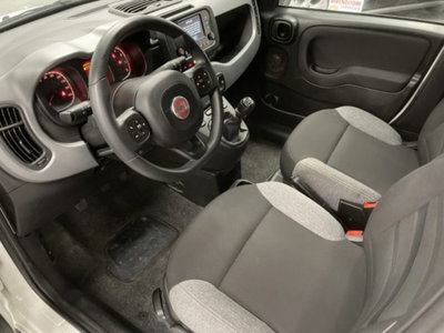 Fiat Panda 1.0 firefly hybrid s&s 70cv 5p.ti (6)