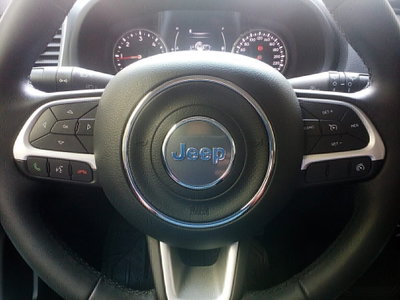 Jeep Renegade 1.6 Mjt 120 CV Longitude (13)